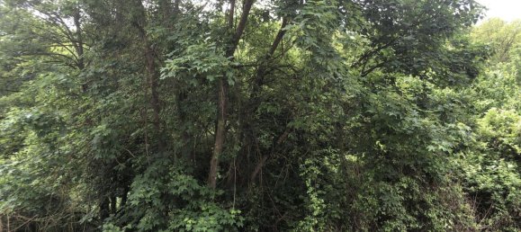 Grundstück in Rhein-Lahn, Germany, Nr. 150182 10