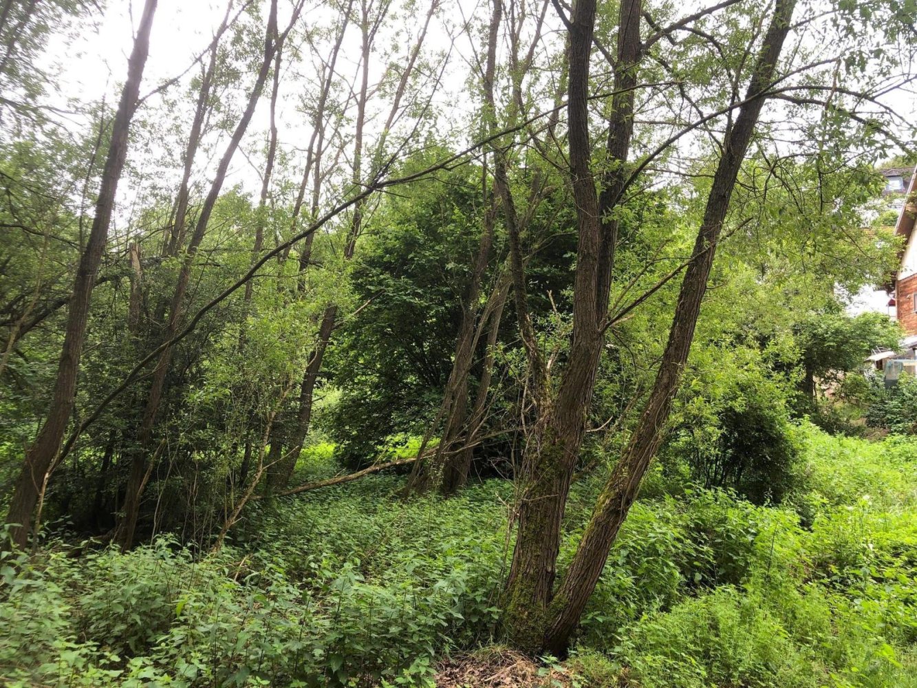 Grundstück in Rhein-Lahn, Germany, Nr. 150182