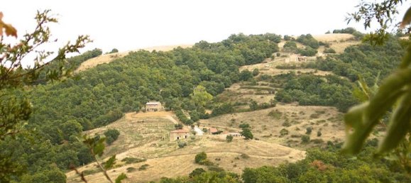 5 rooms House in Piegaro, Italy No. 126543 10