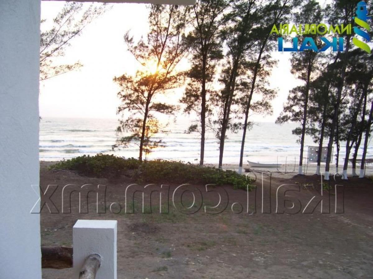 Terrain à Veracruz, Mexico No. 205938