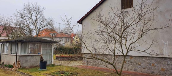 3-Zimmer Haus in Potsdam, Germany, Nr. 12666 4