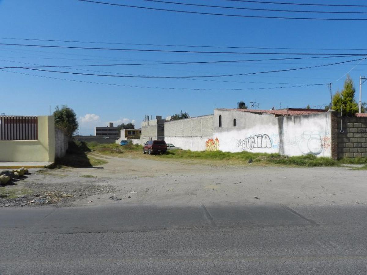  Land in San Buenaventura, Mexico No. 203050
