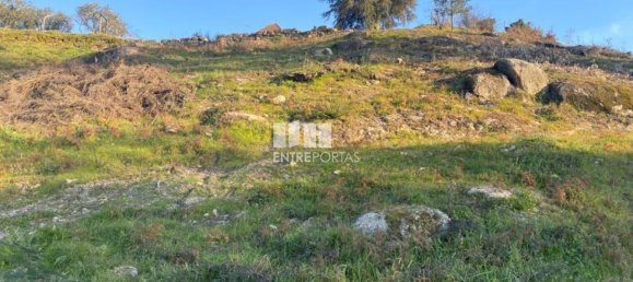 6266m² Land in Soalhaes, Portugal No. 56139 24
