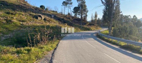6266m² Land in Soalhaes, Portugal No. 56139 8