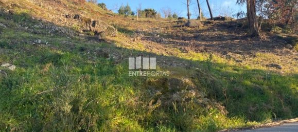 6266m² Land in Soalhaes, Portugal No. 56139 28