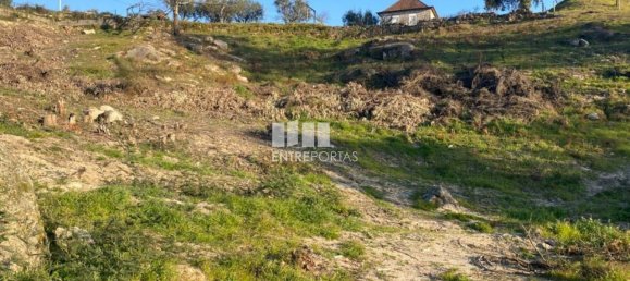 6266m² Land in Soalhaes, Portugal No. 56139 22