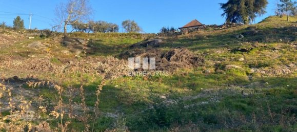 6266m² Land in Soalhaes, Portugal No. 56139 3