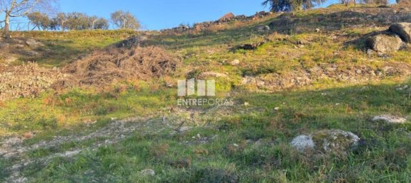 6266m² Land in Soalhaes, Portugal No. 56139 23