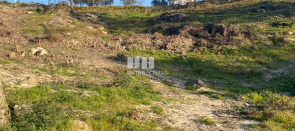 6266m² Land in Soalhaes, Portugal No. 56139 5