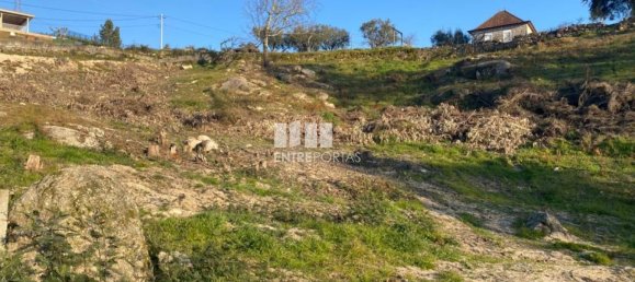 6266m² Land in Soalhaes, Portugal No. 56139 16