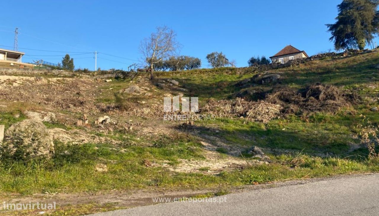 6266m² Land in Soalhaes, Portugal No. 56139