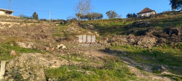 6266m² Land in Soalhaes, Portugal No. 56139 13