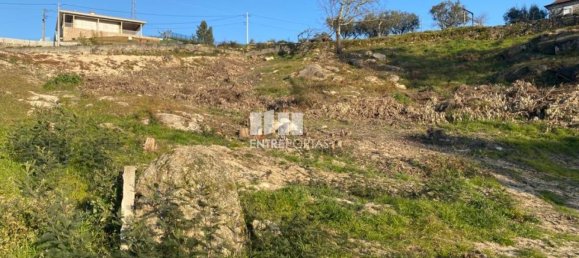 6266m² Land in Soalhaes, Portugal No. 56139 15