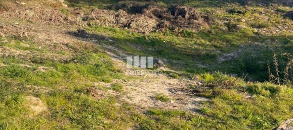 6266m² Land in Soalhaes, Portugal No. 56139 11