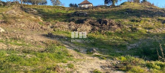6266m² Land in Soalhaes, Portugal No. 56139 21