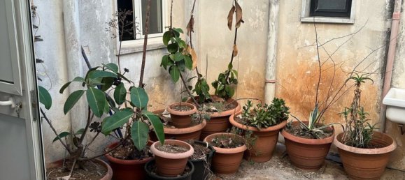 5 bedrooms House in Trepuzzi, Italy No. 381597 12