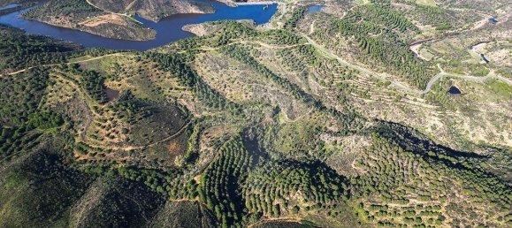 Замки и поместья с 9 спальнями в Алкотин, Португалия № 65697 5