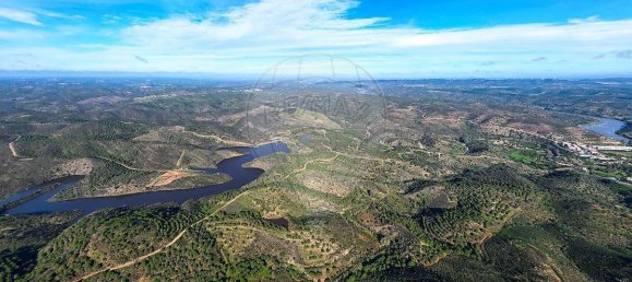 Замки и поместья с 9 спальнями в Алкотин, Португалия № 65697 3