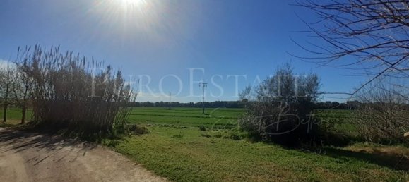 5 bedrooms House in Palma de Majorca, Spain No. 72958 19