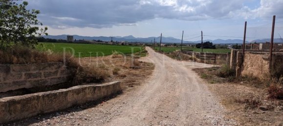 5 bedrooms House in Palma de Majorca, Spain No. 72958 36