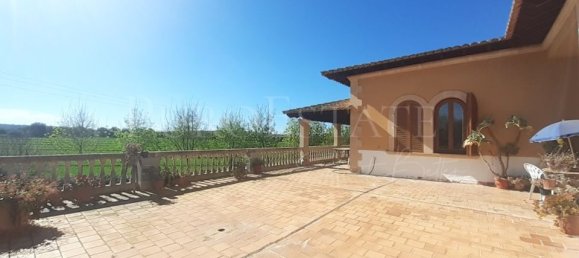 5 bedrooms House in Palma de Majorca, Spain No. 72958 6