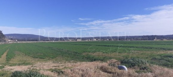 5 bedrooms House in Palma de Majorca, Spain No. 72958 3