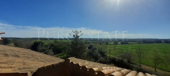 5 bedrooms House in Palma de Majorca, Spain No. 72958 21