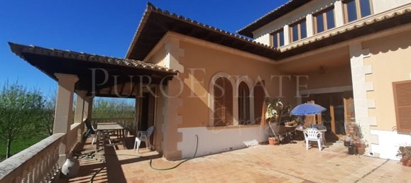 5 bedrooms House in Palma de Majorca, Spain No. 72958 4