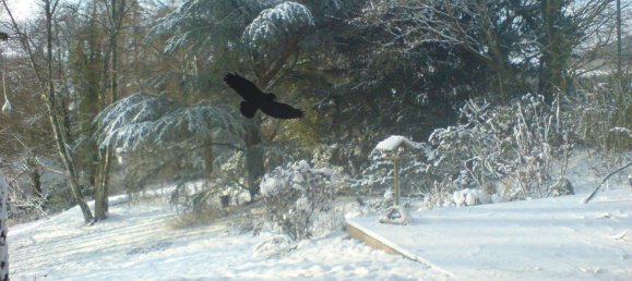 Бунгало с 3 спальнями в Херфорд, Германия № 219232 7