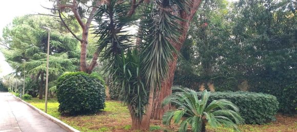 5 rooms Apartment in Bari, Italy No. 175959 34