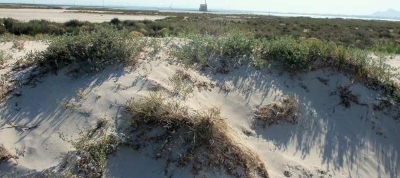 2 bedrooms Townhouse in Las Esperanzas, Spain No. 6615 28