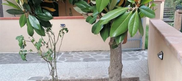 Квартира с 3 комнатами в Порто Адзурро, Италия № 215264 13