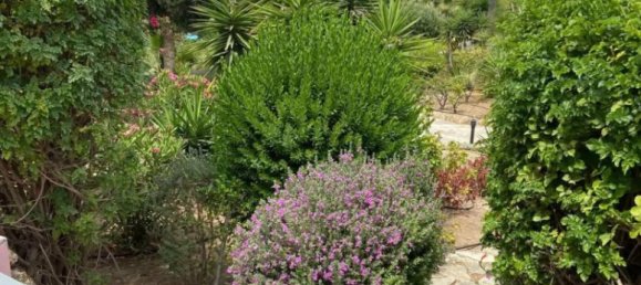 Apartamento T2 em Chloraka, Cyprus N.º 24198 3