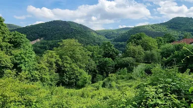 Grundstück in Kaltenleutgeben, Austria, Nr. 134417