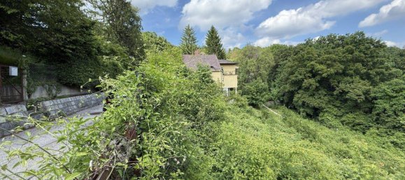 Grundstück in Kaltenleutgeben, Austria, Nr. 134417 3