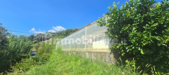 Casa T4 em Genoa, Italy N.º 268400 13