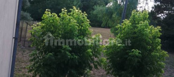 4 غرف نوم فيلا في Ceprano, Italy رقم 310485 5