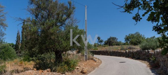 4115m² Land in Loule, Portugal No. 37666 5