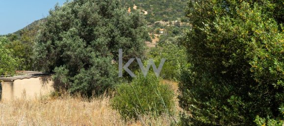 4115m² Land in Loule, Portugal No. 37666 13