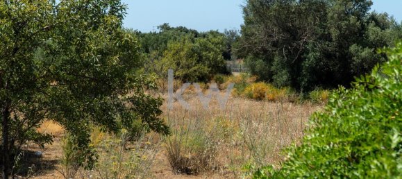 4115m² Land in Loule, Portugal No. 37666 14