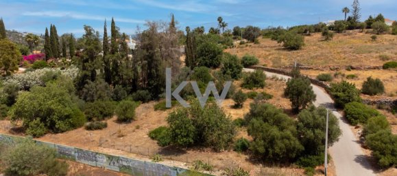 4115m² Land in Loule, Portugal No. 37666 3