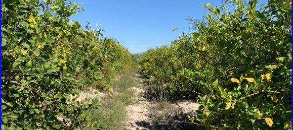 Terreno en Abanilla, Spain 18447 m² No. 116812 20