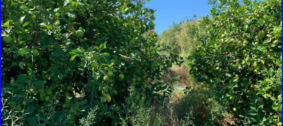 Terreno en Abanilla, Spain 18447 m² No. 116812 37