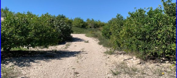 Terreno en Abanilla, Spain 18447 m² No. 116812 11