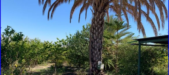 Terreno en Abanilla, Spain 18447 m² No. 116812 29