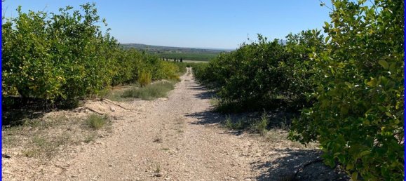 Terreno en Abanilla, Spain 18447 m² No. 116812 18