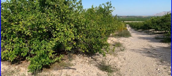 Terreno en Abanilla, Spain 18447 m² No. 116812 2