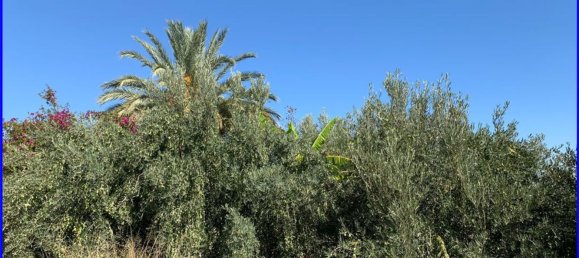 Terreno en Abanilla, Spain 18447 m² No. 116812 15