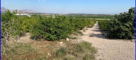 Terreno en Abanilla, Spain 18447 m² No. 116812 35