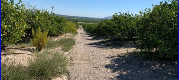 Terreno en Abanilla, Spain 18447 m² No. 116812 9